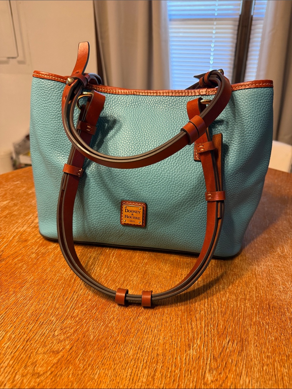 Dooney & Bourke Teal Pebble Leather Shoulder Bag with Brown Trim